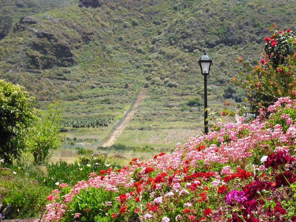 Finca El Picacho Apartments In The Countryside 2 Km From The Beach Tejina Pokoj fotografie